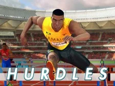 Obstacole